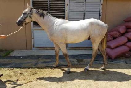 ��Ÿ��ƽ�� ����