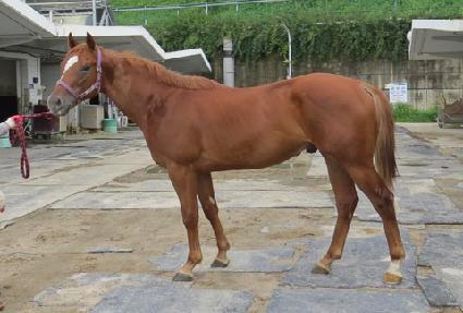 ��Ʈ���ڸ��� ����