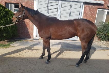 �÷�Ű���� ����