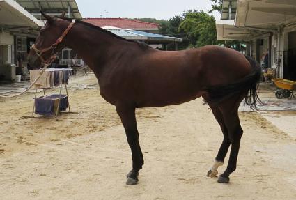 ���âõ ����