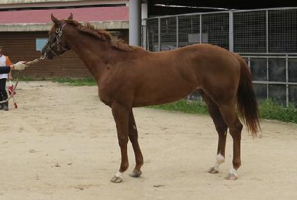 ��ο��Ѷ� ����