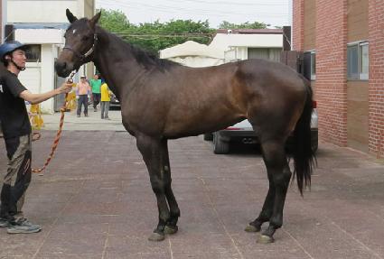 ���������� ����