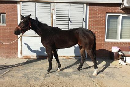 �Ƴ��� ����