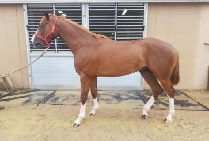 ���ͽ��� ����