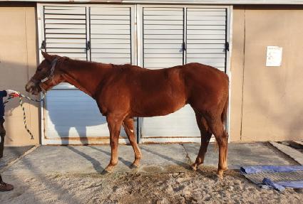 �ɽ���ũ ����