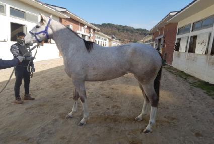 ����Ǯ������ ����