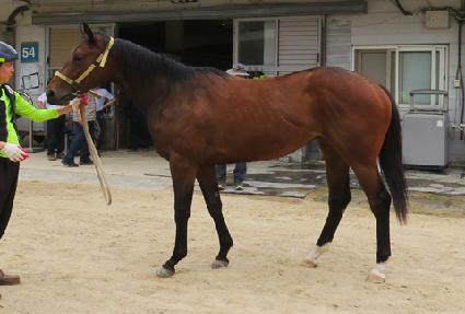 ���̵��̸� ����