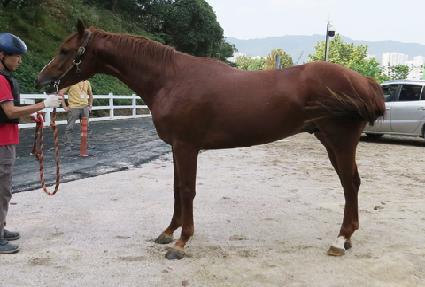 ����Ʈ���� ����