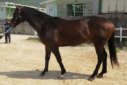 �ѷ������̵� ����