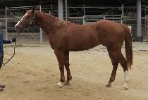 GEUMA FLAWLESS picture