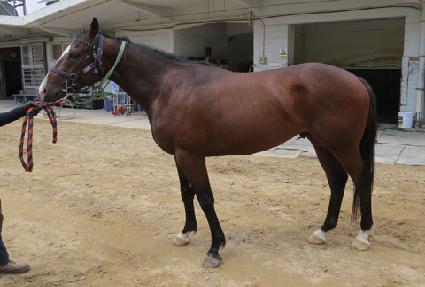 ��Ű��ũ ����