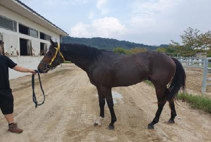 �巡��ο� ����