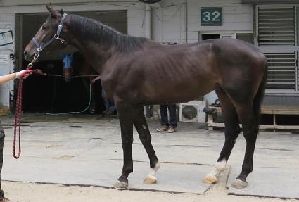 ���־ָ� ����