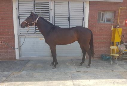 �׷���Ʈ���� ����