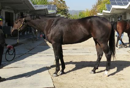 õ���λ� ����