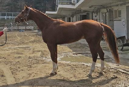 �����꽺�� ����