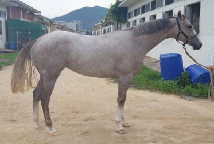 ��Ÿ����Ʈ ����