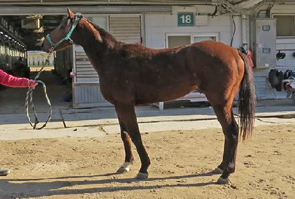 �������� ����