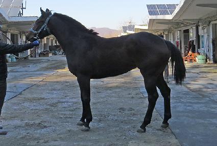 �ú����� ����