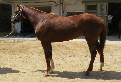 ����Ʈ��Ƽ ����