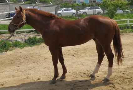 ������� ����