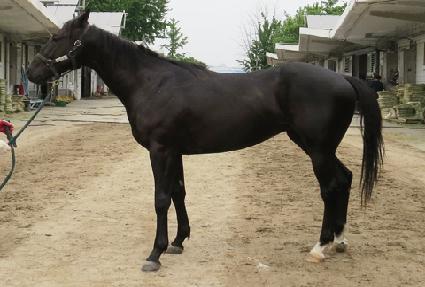 ����Ʈž ����