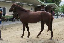 ����Ʈ���� (BEST TOUR) ����