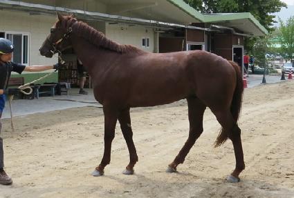 ����Ʈ���� ����