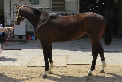 �����̴� ����