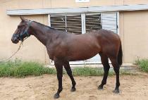 JEONSEOLUI FIGHT picture