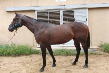 ����������Ʈ ����