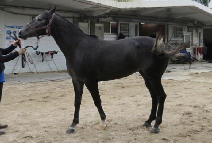 ������ġ�� ����