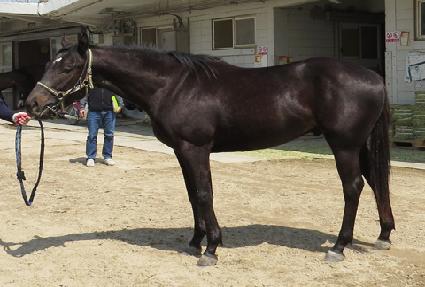 �ٳ��������� ����