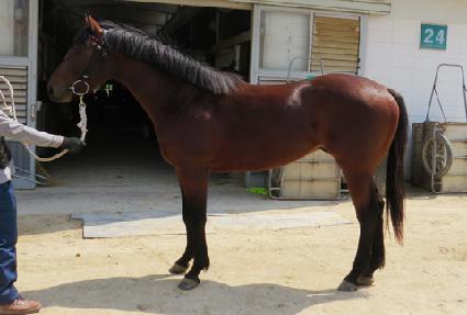 �������� ����