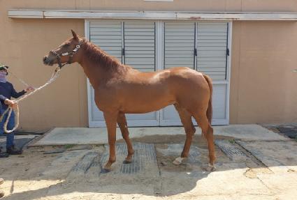 �̳�˰� ����