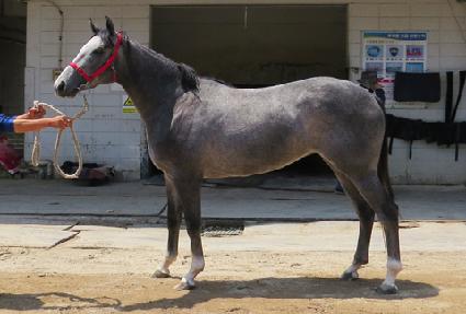 �Ǿ�� ����