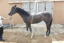 �����Ѿ� (KKUMEUL NEOMEO) ����