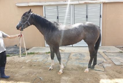 �����Ѿ� ����