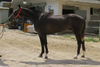 ����Ʈ���� ����