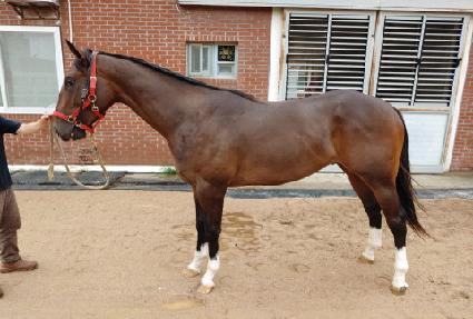 ���Ͻ��ö��� ����