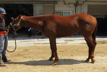 ������ ����