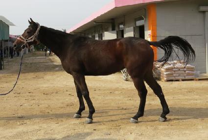 �ݾƷι���Ʈ ����