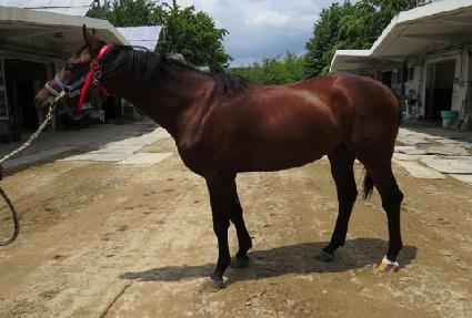 �������� ����