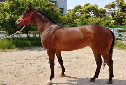 Ű������Ű ����