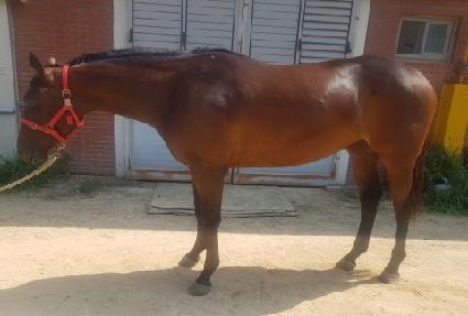 �������� ����