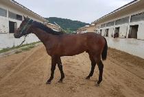 ���׸���Ʈ (WINNING LIST) ����