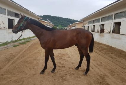 ���׸���Ʈ ����