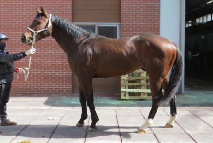 ŷ������ʵ� ����