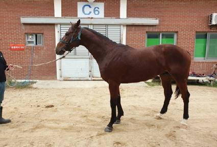 ������ȣ ����