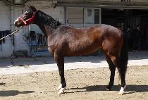 �������� (MUNHAK JOY) ����